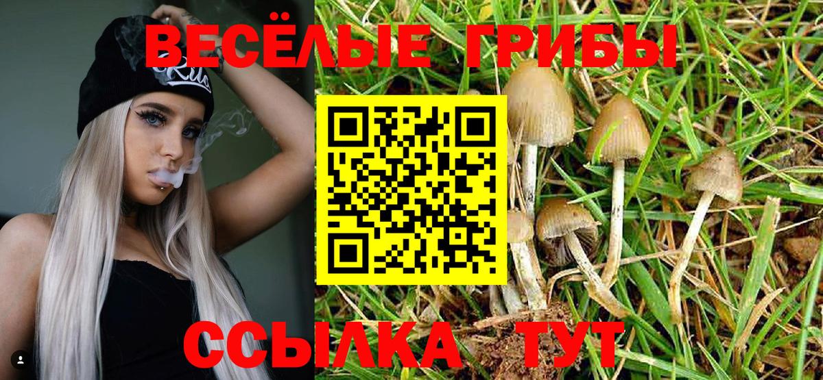 Псилоцибиновые грибы GOLDEN TEACHER Новоуральск